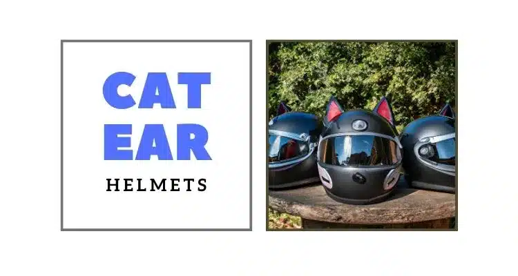 This image belongs to the motorcycle helmets with cat ears.